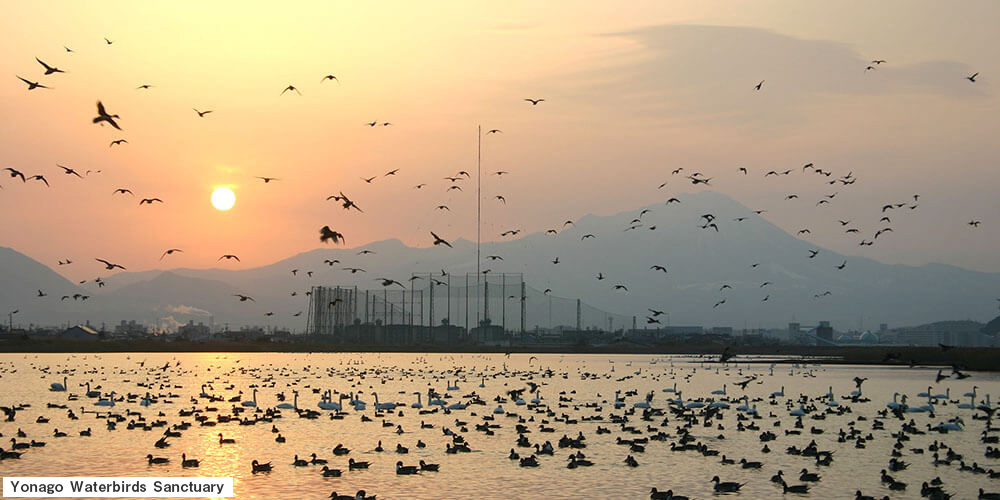 Click this image to go to Lake Nakaumi and Lake Shinji Webpage